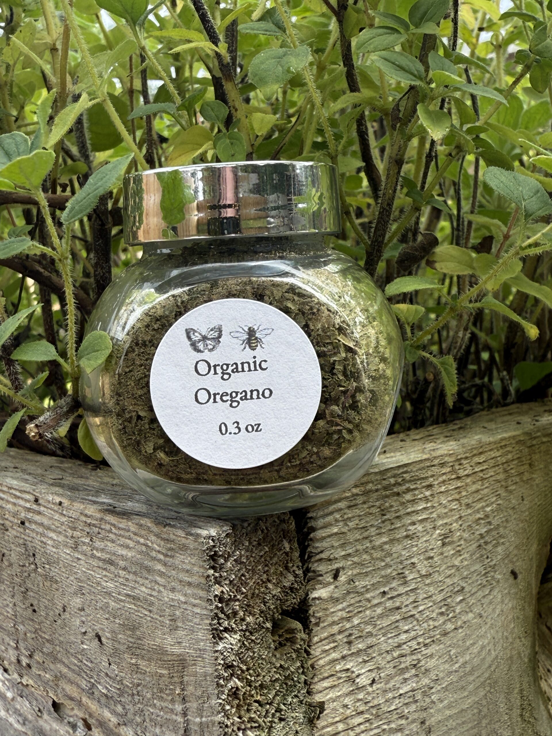 Organic Oregano