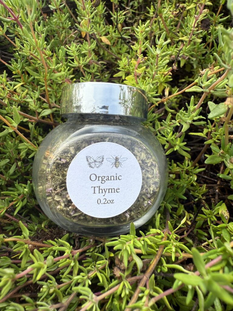Organic Thyme