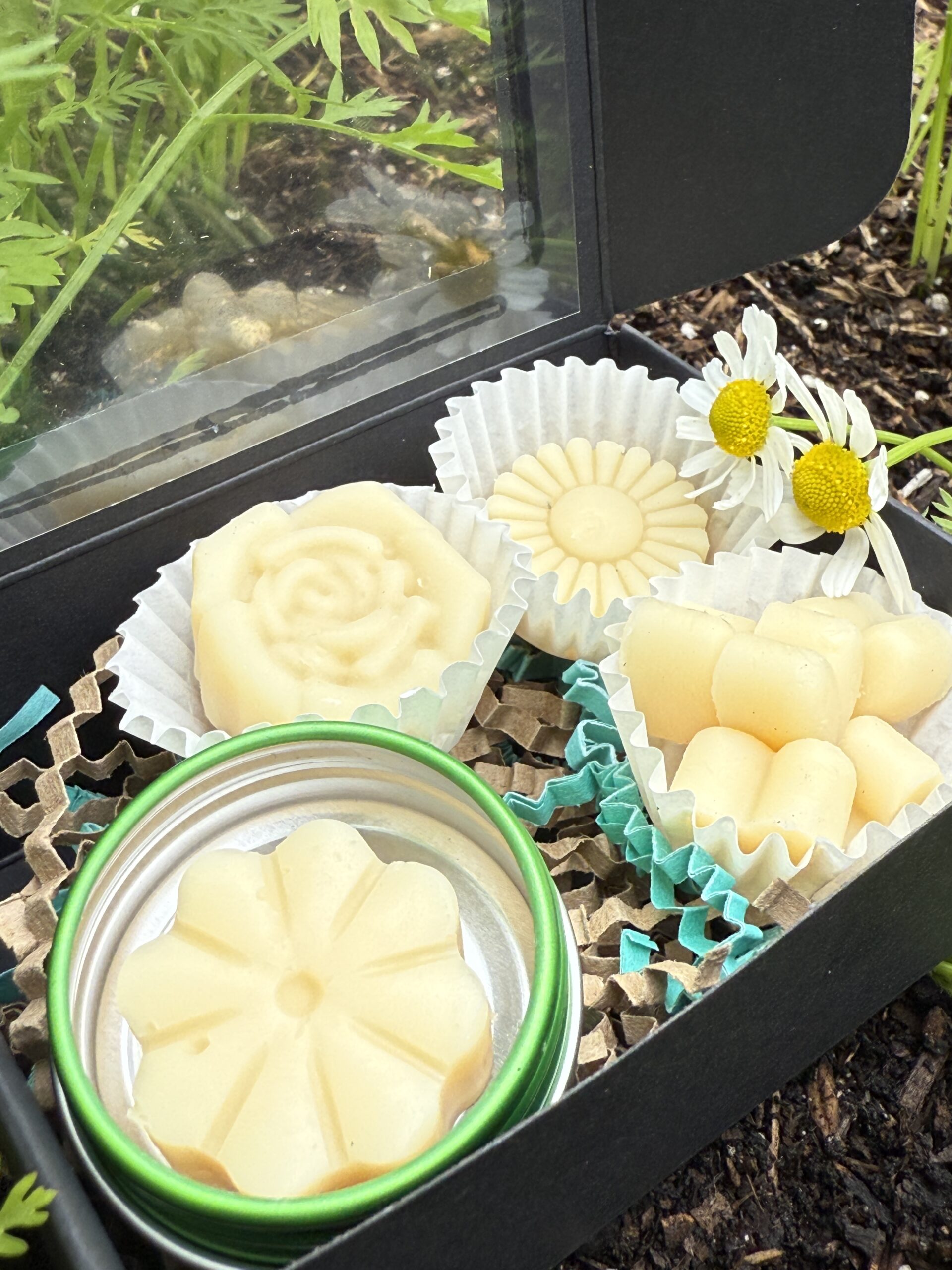 Garden Blooms Lotion Bars